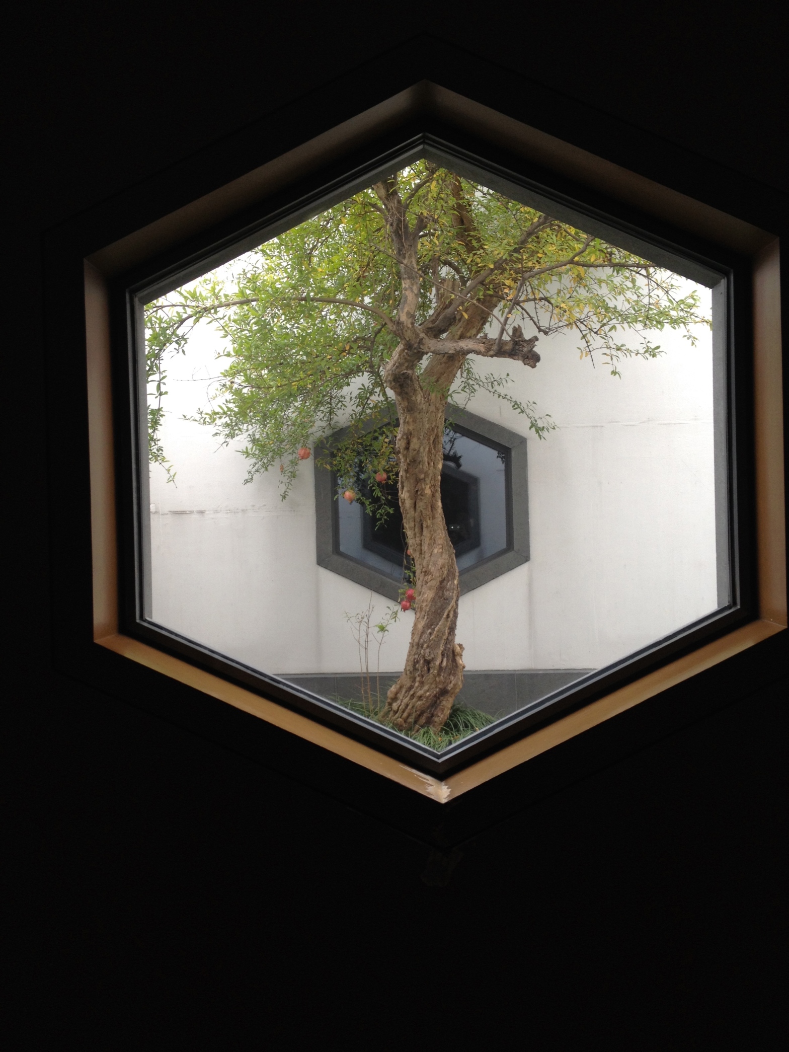 Suzhou Museum window